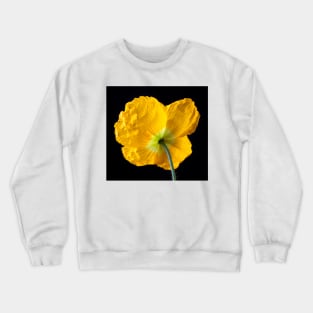 Lovely Yellow Iceland Poppy Crewneck Sweatshirt